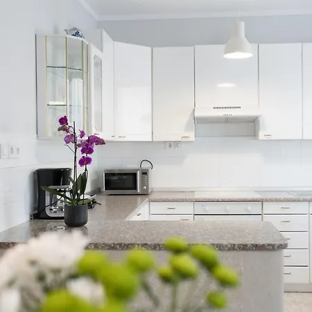 Apartment Bella Umag